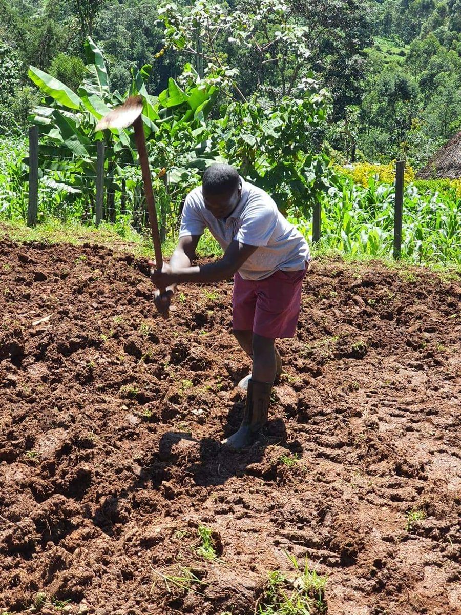 Araap_Sang's tweet photo. Kitchen gardens play key roles in improving the nutrition status of our families. With many families abandoning the habit of establishing them, malnutrition levels have risen particularly in our rural areas. #StayAtHome #TugaTai https://t.co/1YjOi3EApz