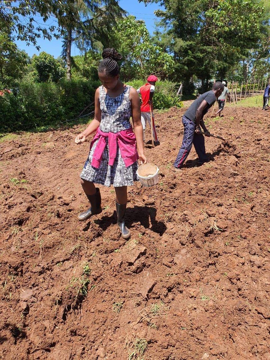 Araap_Sang's tweet photo. Kitchen gardens play key roles in improving the nutrition status of our families. With many families abandoning the habit of establishing them, malnutrition levels have risen particularly in our rural areas. #StayAtHome #TugaTai https://t.co/1YjOi3EApz