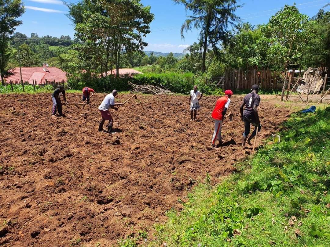 Araap_Sang's tweet photo. Kitchen gardens play key roles in improving the nutrition status of our families. With many families abandoning the habit of establishing them, malnutrition levels have risen particularly in our rural areas. #StayAtHome #TugaTai https://t.co/1YjOi3EApz