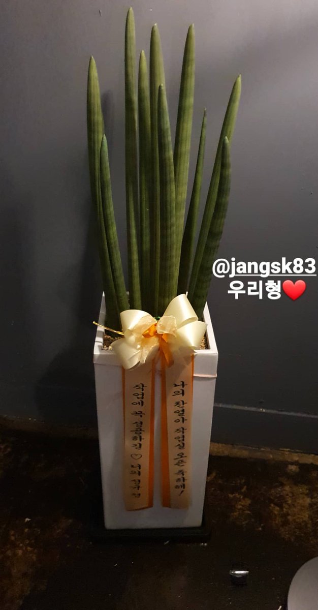 LoeyBerryTrans's tweet photo. Jang sung kyu sent a flower wreath congratulating the opening of Chanyeol's studios

Left: "I hope you succeed in your job❤️"
Right: "My Chanyeol, congratulations on opening your own studio"

CY caps: My Hyung ❤️ https://t.co/Qhkf6uDp5M