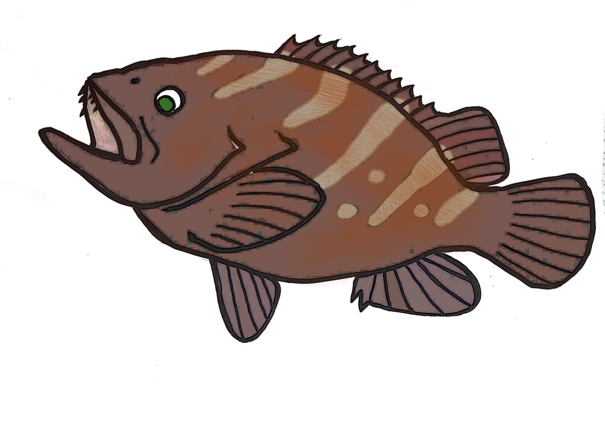 さかな芸人ハットリ こんな時だからこそ いっぱい魚のイラスト描いて気持ちを上げ鯛 ということで リクエストいただいた好きなお魚ぜんぶ描いて画像プレゼントいたし鱒 リクエストの締め切りは今日の24 00まで マスクじゃないけどお一人様1枚まで