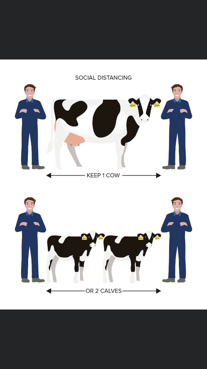 Britmilk1's tweet photo. A great find on Facebook that i thought I’d share.
#farming #farmers #dairy #beef #agriculture #agricandcovid19 #FarmerSocialDistance #farmer #StayAtHome #NHSheroes https://t.co/6m5z9xD5JB