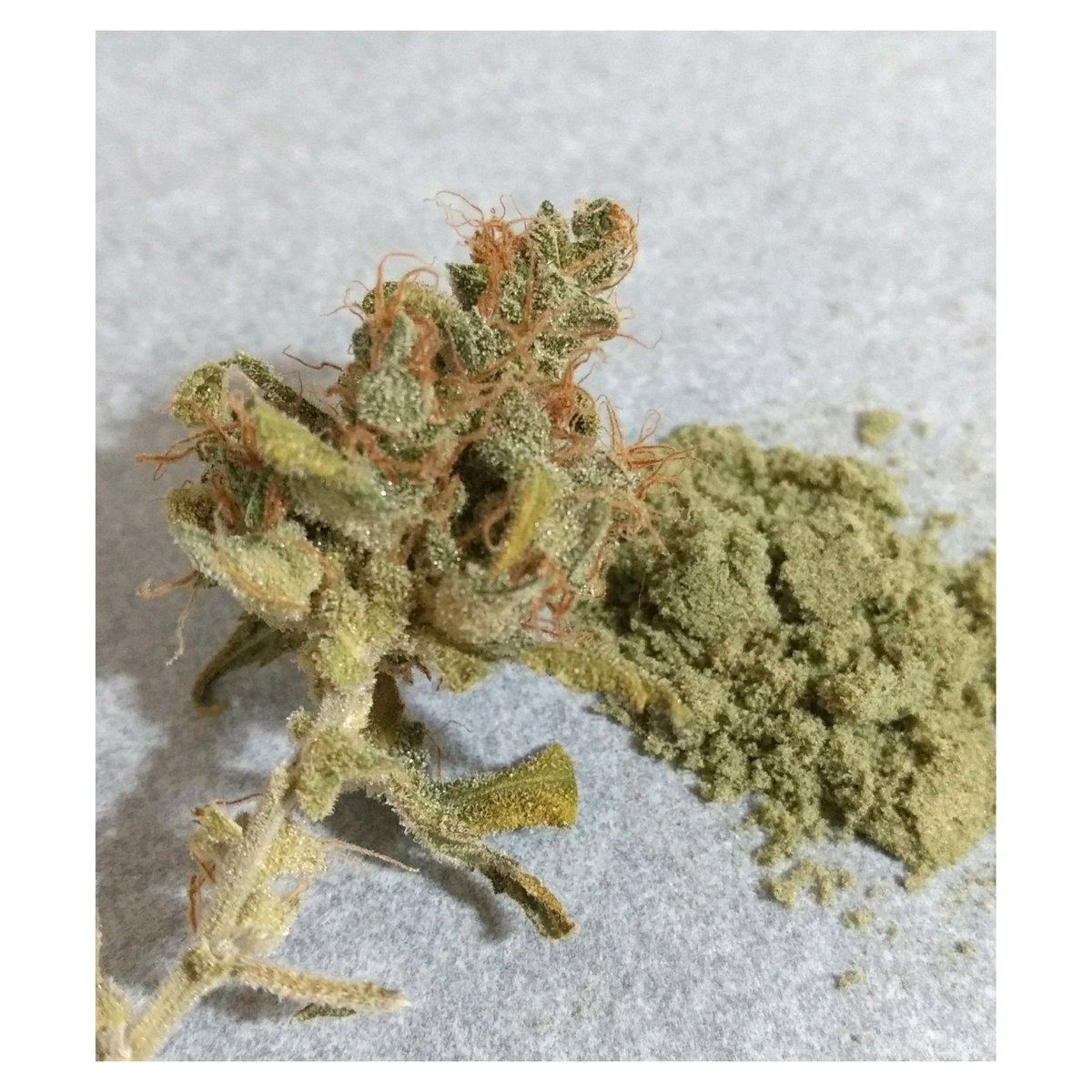 HCannabicas's tweet photo. Buenos días,
desayuno #confinado .
Improvisando alegría,
en #corazones nublados...

Saludos,

#autocultivo #flores #horizonte https://t.co/ScODyDly1E