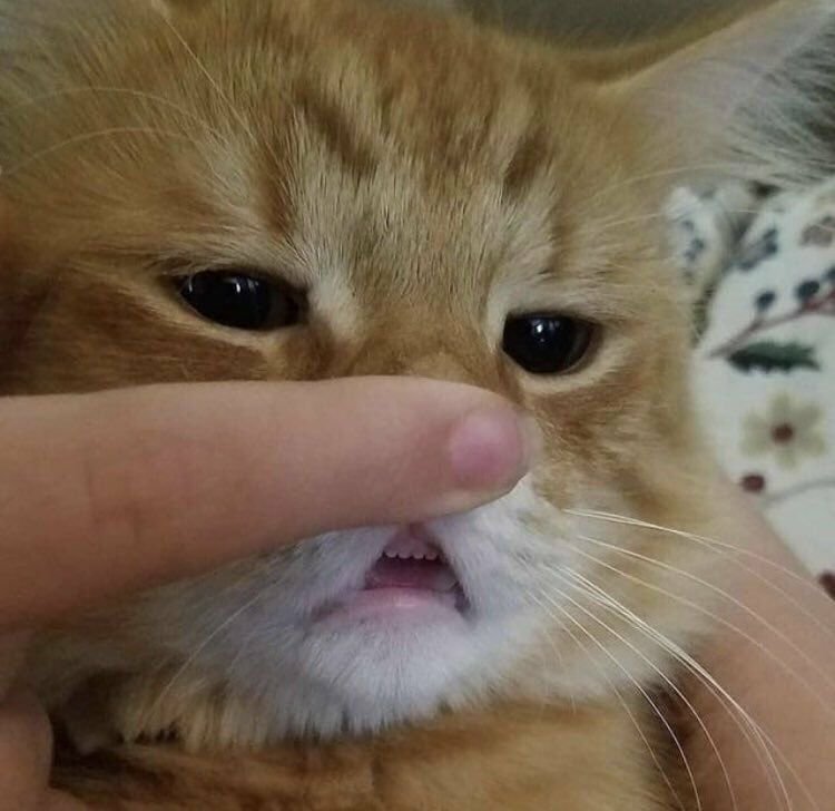 AssistingSenpai's tweet photo. How some of you are going to end up once I am coming back someday....When I'm not busy with work.... https://t.co/uwEldT5vdW
