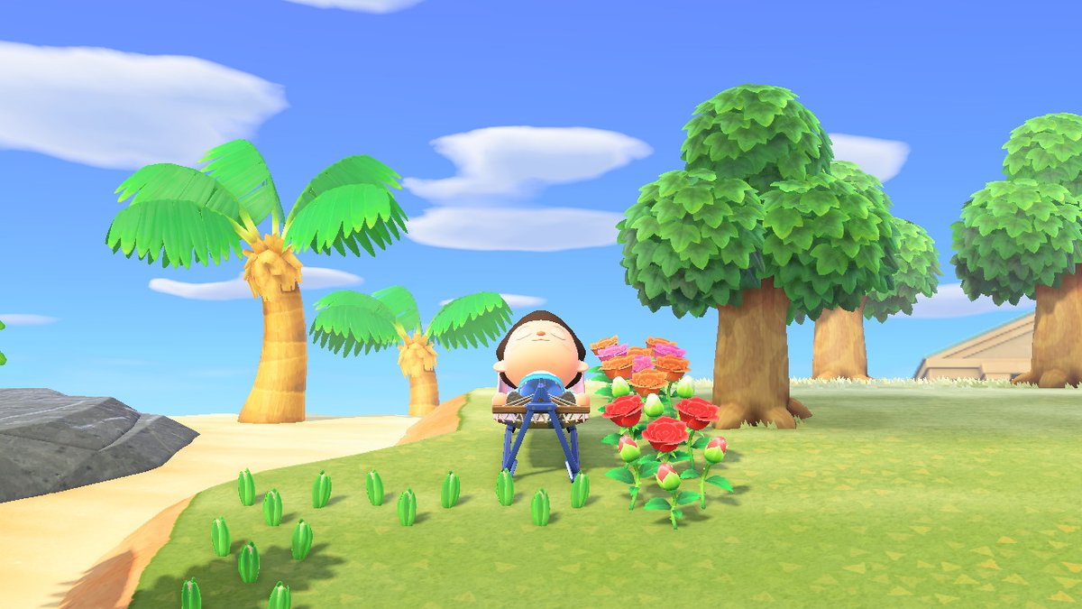 竹村 浪太郎pa Twitter 中午分量玩够了 睡个午觉 本体要上班了 动物森友会 Animalcrossing Acnh Nintendoswitch 竹村 浪太郎pa Twitter 中午分量玩够了 睡个午觉 本体要上班了 动物森友会 Animalcrossing Acnh Nintendoswitch