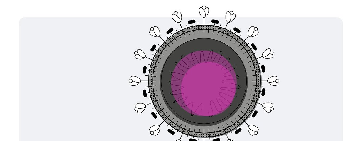 oe1journale's tweet photo. @roteskreuzat  und das @sora_institut testen jetzt 2.000 zufällig ausgewählte Österreicher, um ein repräsentatives Bild zu bekommen, wie viele mit dem #Coronavirus infiziert sind. Die @imed_tweets startet #Antikörper-Tests in #Ischgl. https://t.co/ZHUbYHqiX9 https://t.co/Ou0w5o73qK