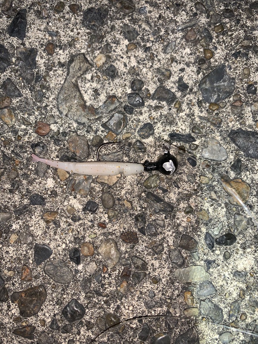 ひいぼん Asahifive 千葉の房総半島に釣りに行ってきました 9 00 集合 11 30 釣り場着 勝山港 興津港 小湊港 22 00 実践終了 仕掛け 胴突3本鈎 青イソメ ジグヘッド ワーム 釣果 キタマクラ1匹 カマス3匹 まとめ 19 40まで毒魚キタマクラしか