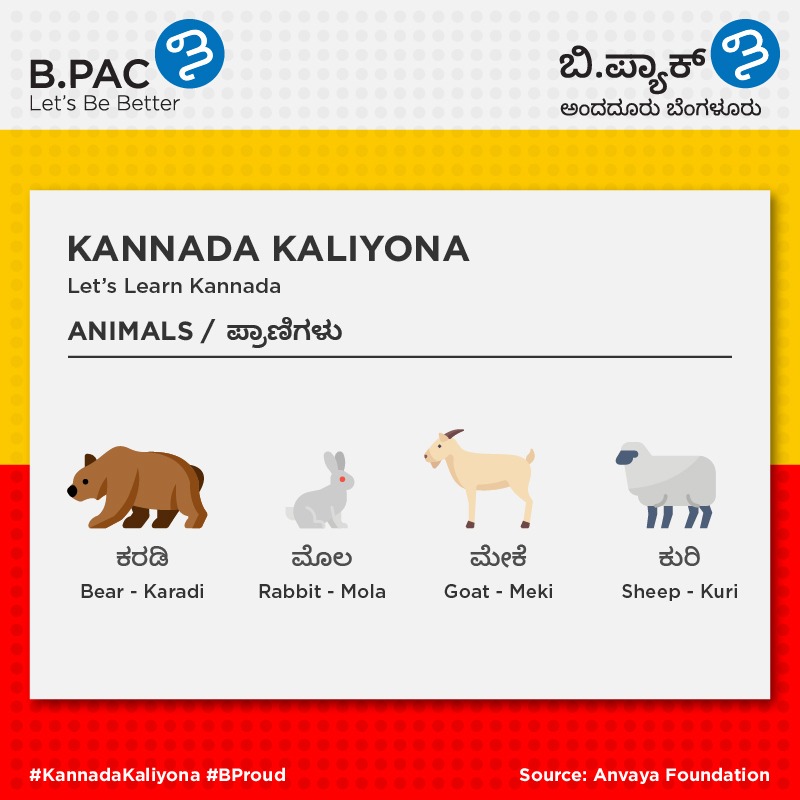 B.PAC on Twitter "Day 26 For all the Ornithophiles, here are the