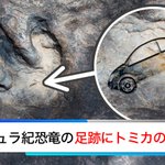 恐竜がトミカで遊んでいた？トミカには50億年の歴史があったらしい!