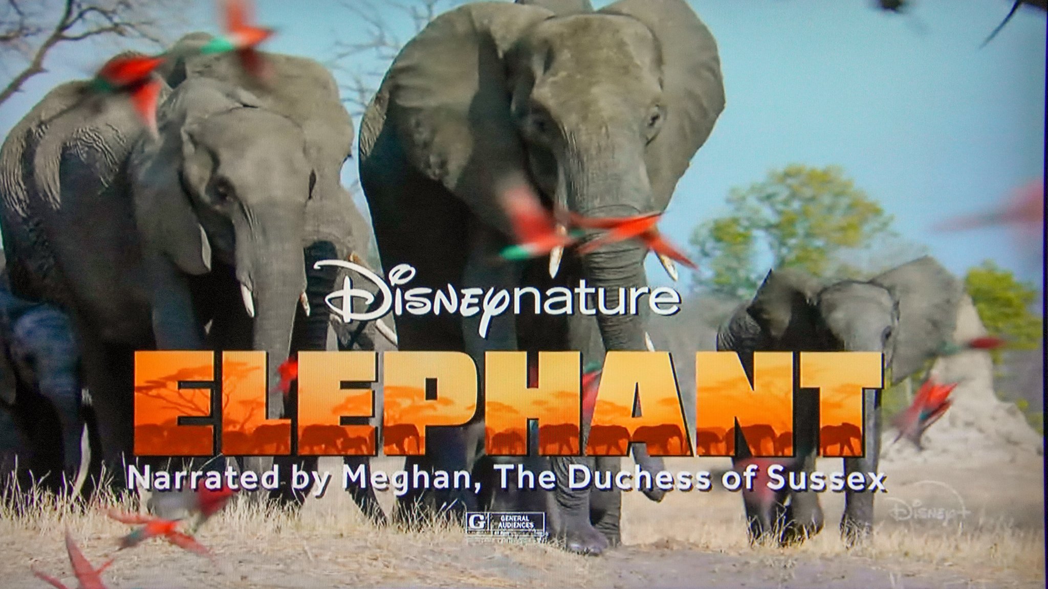 Bioreconstruct On Twitter There S Ads On Tv For Disney Nature Documentaries On Disney