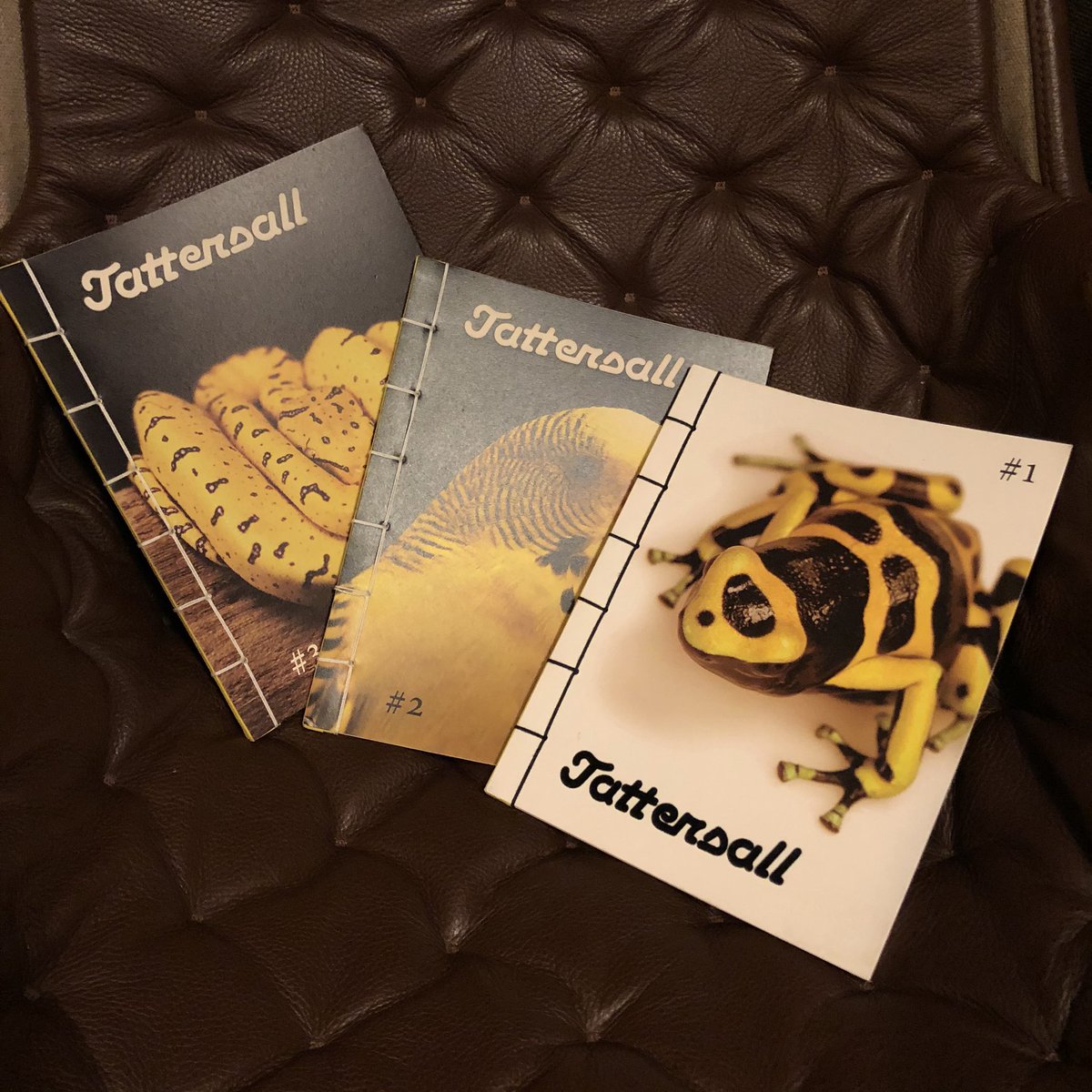 torjonasson's tweet photo. Jag verkar ha köpt dubbla ex av dessa tre fenomenala fanzines/tidningar. Någon som behöver? #aik #tattersall https://t.co/CneV7qokG3