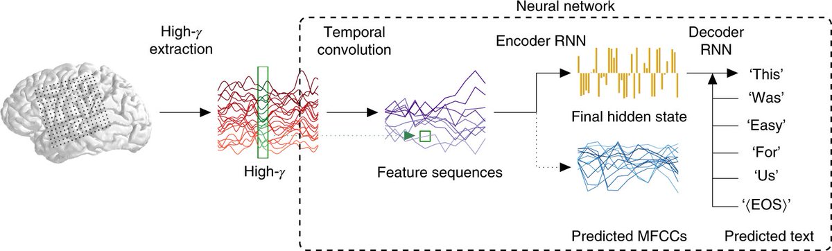 Rainmaker1973's tweet photo. Scientists develop AI that can turn brain activity into text. While the system currently works on neural patterns detected while someone is speaking aloud, experts say it could eventually aid communication for patients who are unable to speak or type https://t.co/H10Hd0Wo1z https://t.co/uYjWv2sVqT