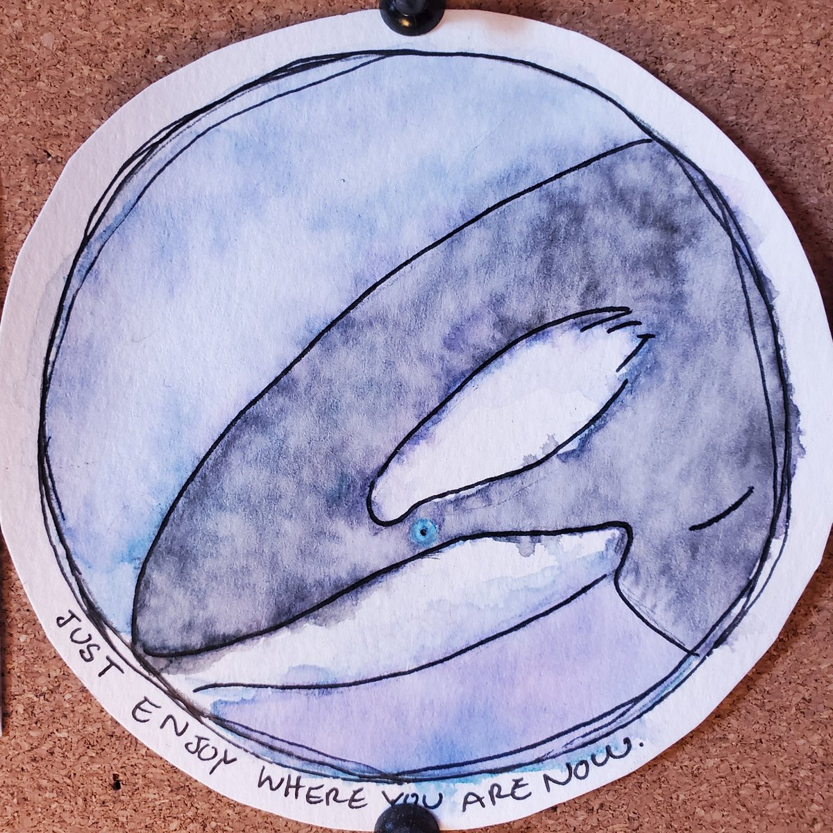 debi_ashcraft's tweet photo. Look a whale 👀 https://t.co/zqOBQuXZpB