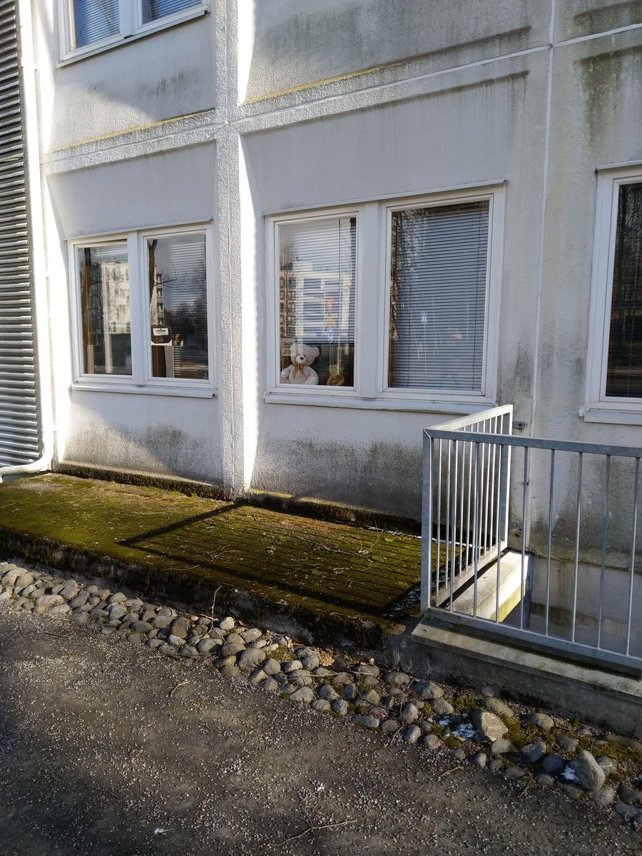 SartamaV's tweet photo. Tämmöinen löytyi eilen. Näkyi pari muutakin, mutta liikkuessa ei ehtinyt kuvata. #nallejahti #etsinalle 01600 https://t.co/kE2Qe7bJKK