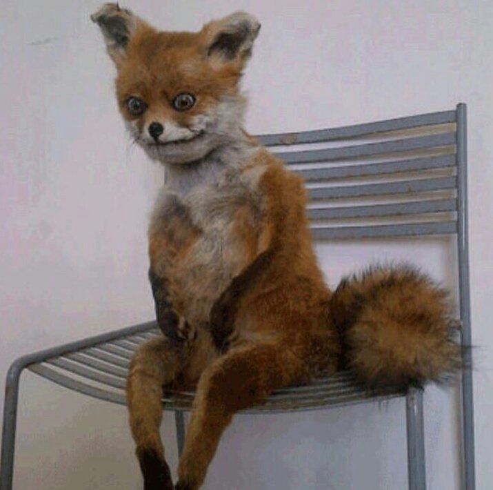 bebi_fernandez's tweet photo. Yo, media hora mirando a una zapatilla al despertarme. https://t.co/fHHuTCuB7R