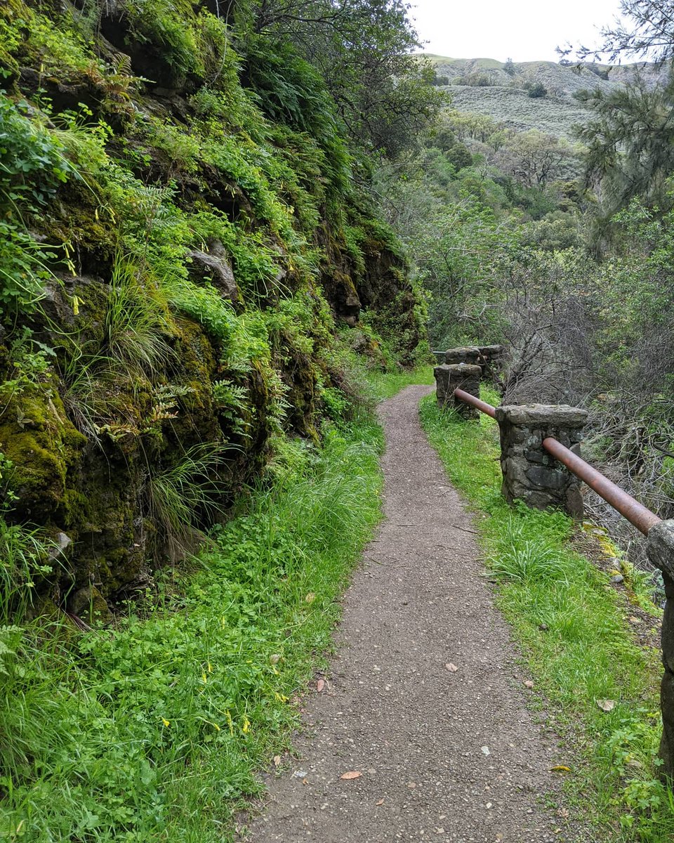 Samai_ES's tweet photo. Missing our hikes. Staying home for the safety of others and myself. Let's do our part in protecting our communities. #StayHome #COVID19 https://t.co/0aLaxu9hww