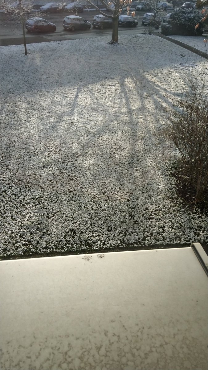 Warum liegt hier Schnee?
Warum haben sie eine Mütze auf? 😎