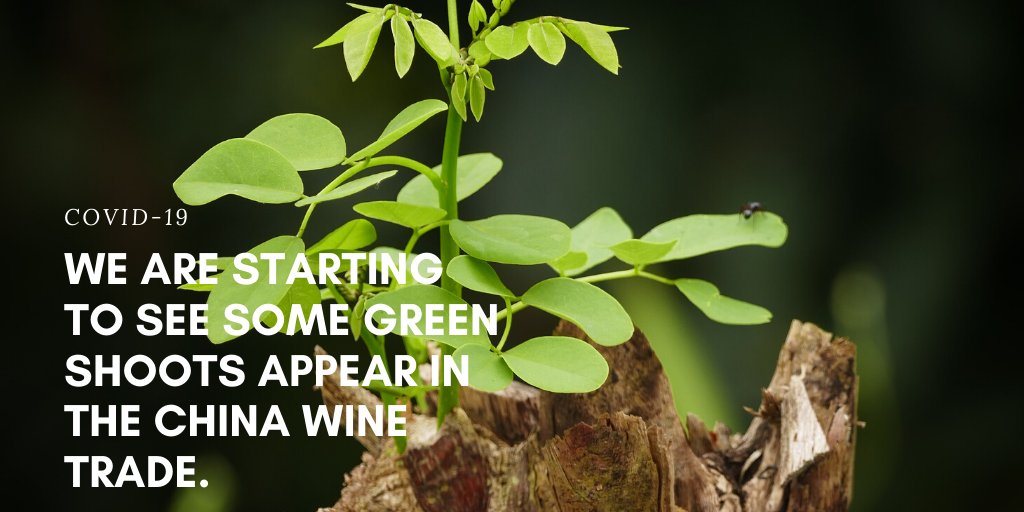 If your current importer/distributor disappeared, we suggest you reconnect with them. If you don't have representation in China, maybe you should be looking to find it. Because the US &amp; Europe clearly have a long way to fall &amp; the domestic market is going to be crowded #covid19au