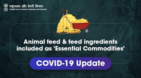 Dept_of_AHD's tweet photo. @Dept_of_AHD, GoI has ensured a seamless supply of animal feed and feed ingredients across the country! Transport of manufactured animal feed will remain uninterrupted during the #COVID-19 lockdown!
#Covid_19india #Safety https://t.co/B0lYTsSU0d