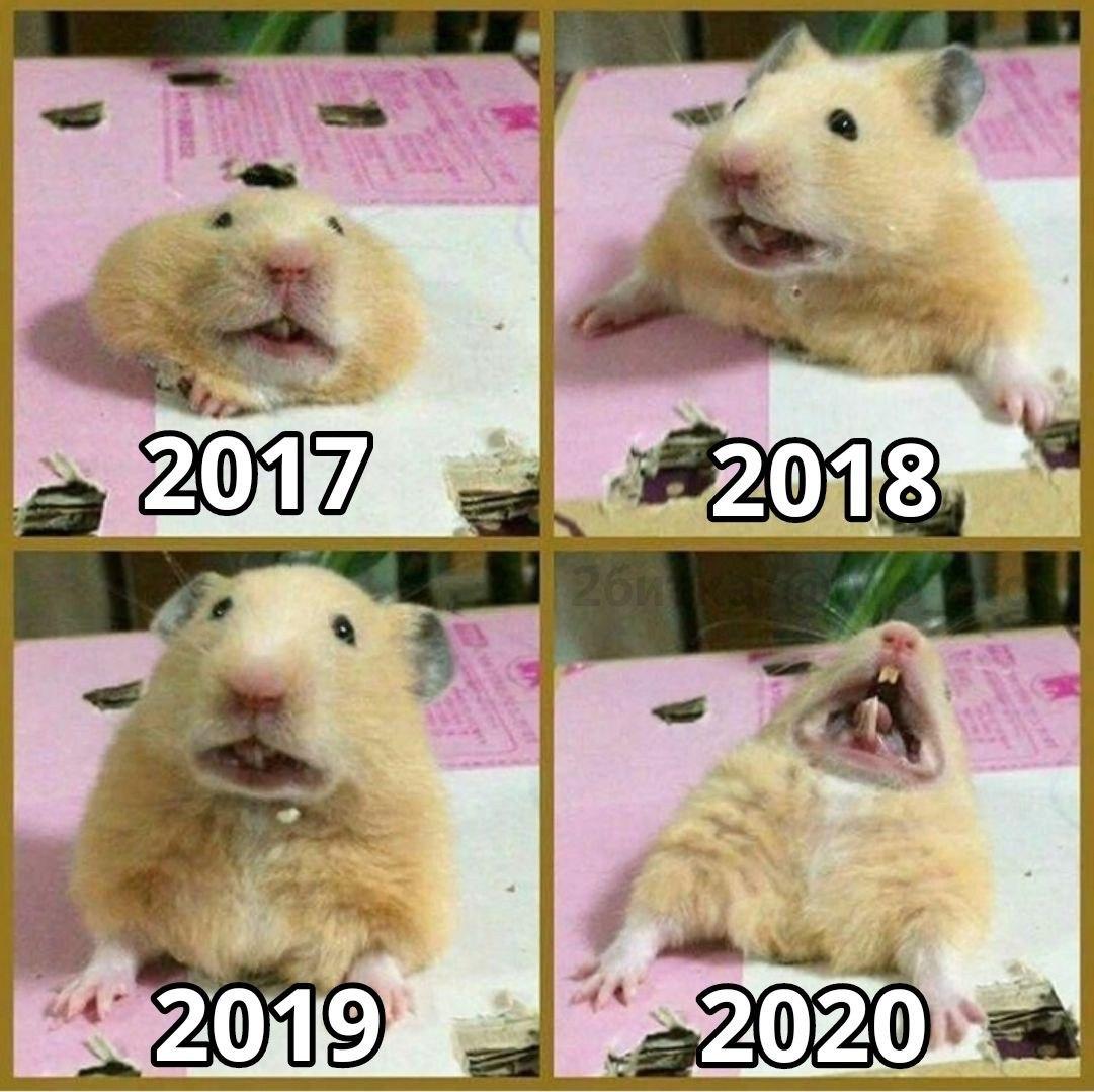 NanoBank's tweet image. The #XRP registry nearly failed due to a #spamattack