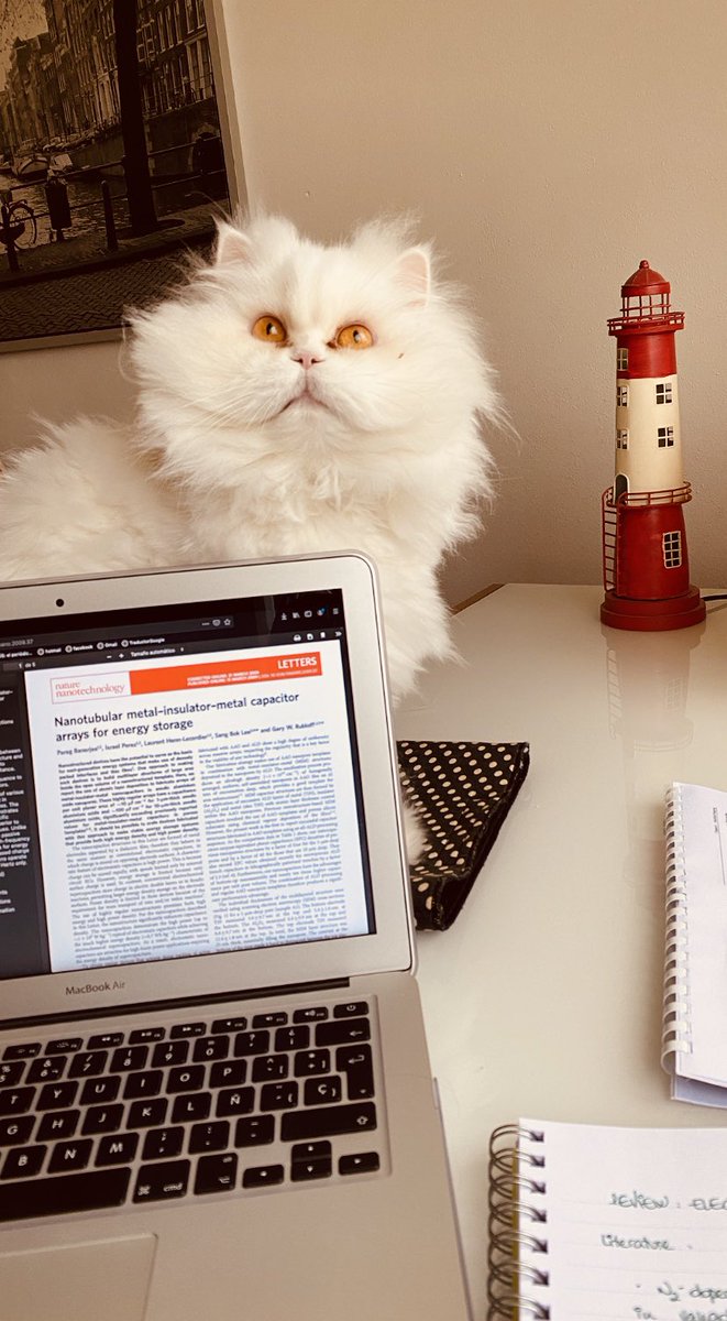 m_echeve's tweet photo. Finally gotten My Own Personal Assistant 🥳
.
.
.
#energystorage #electrochemicalenergystorage #myownpa #sirpistolo #allamongquarantine #electrochemicalsupercapacitor #searchingliteratureforareview #electronmicroscopyscience #literature #homeoffice #temreviewforenergystorage https://t.co/m4FFa8eFpM