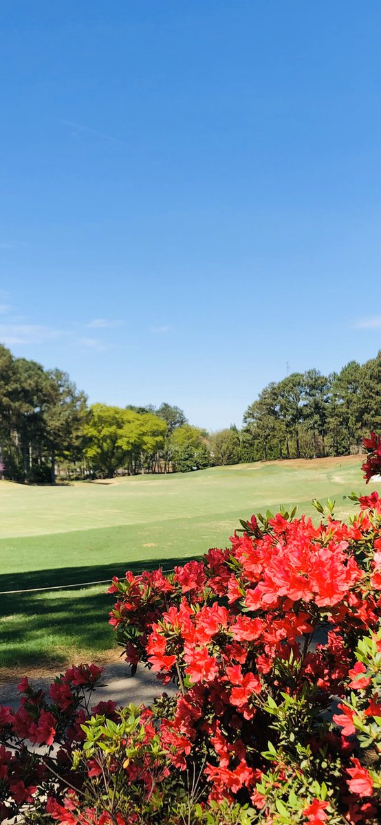 St Ives Country Club (@stivescclub) on Twitter photo 