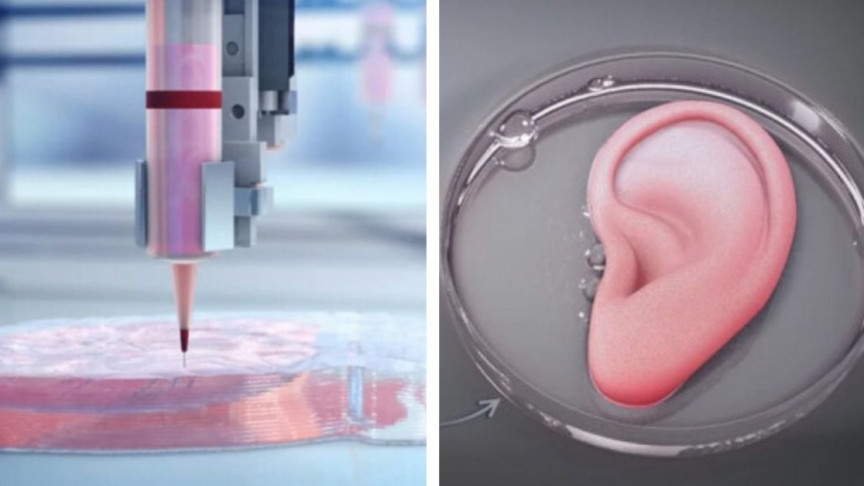 TalentSwarmWork's tweet photo. The Science Fiction World of 3D Printed Organs https://t.co/d7KNweAEmr https://t.co/nav0tI9hCo