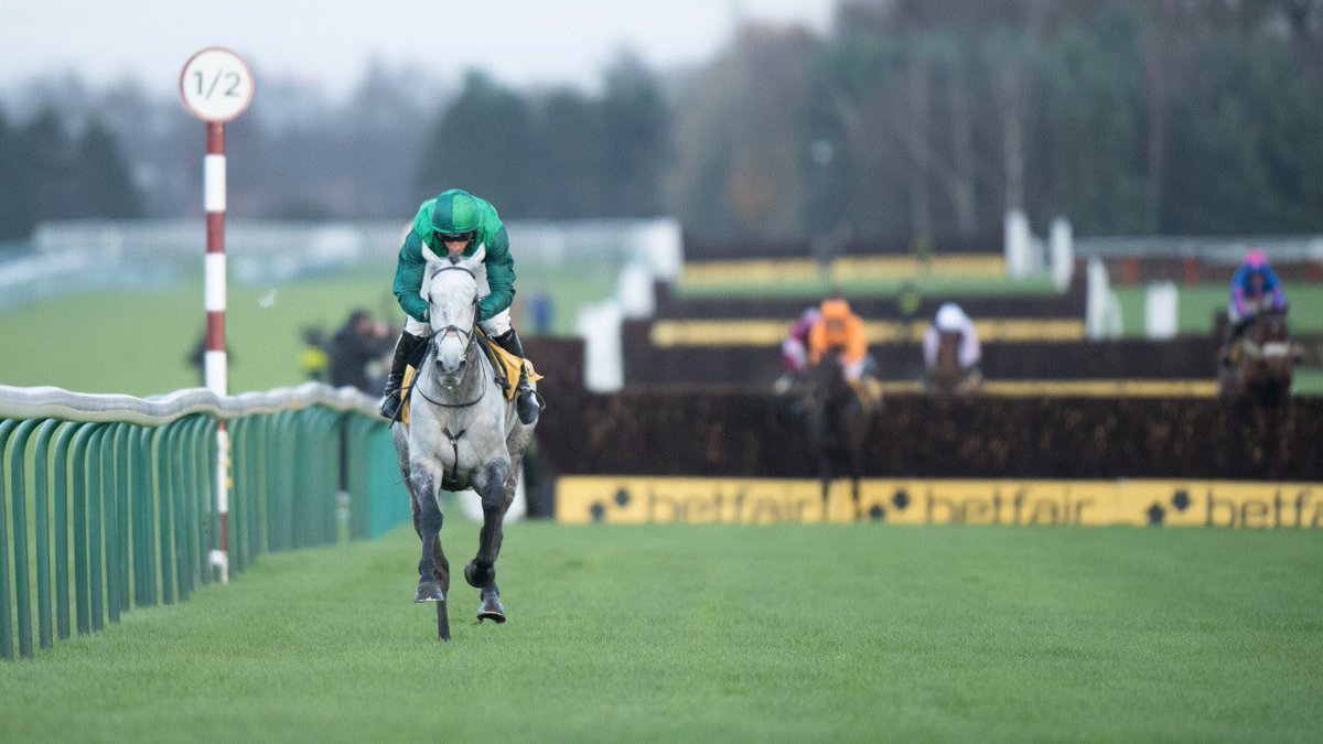 RacingBreaks's tweet photo. Name the most ‘underrated’ horse of all time... https://t.co/gx8LhfcWCi