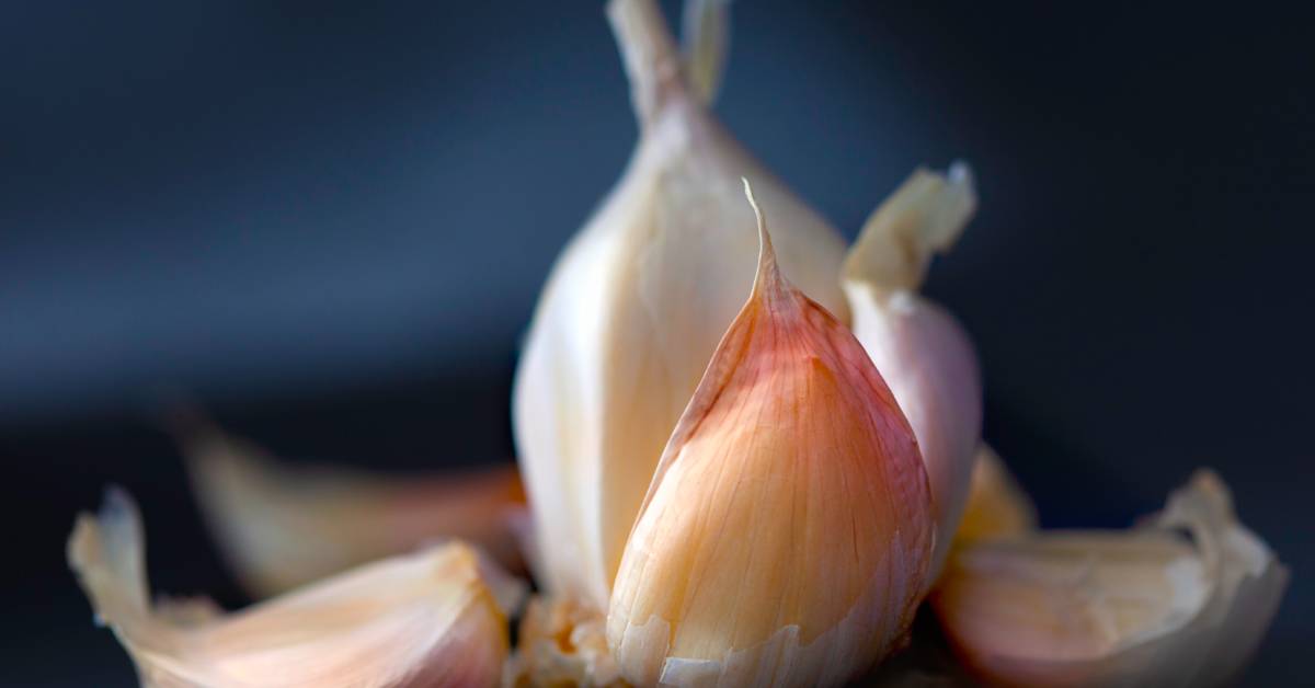 Put some va va voom into your next #salad dressing by #fermenting your garlic. You will delight your taste buds & add #beneficialbacteria to your diet whilst giving your #immunesystem a supportive hug bit.ly/2vzDmIL  #immunehealth  #healthyrecipes