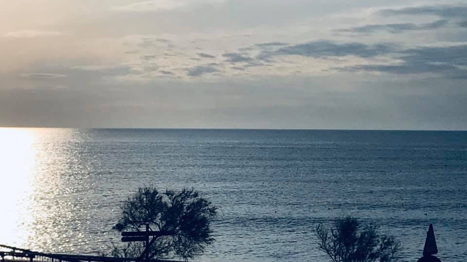 Michaela tweet media