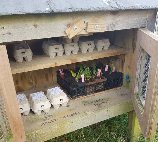 RockFarmSlane's tweet photo. Organic eggs, mixed salad, spinach, large leaf rocket and rhubarb and chives plants ready for planting are in the Honesty Box now (C15 HF59). We are re-filling on a daily basis. PM us if you need something in particular. Happy shopping! #buylocal #organic Boyne Valley Flavours https://t.co/h8REq7mHP9
