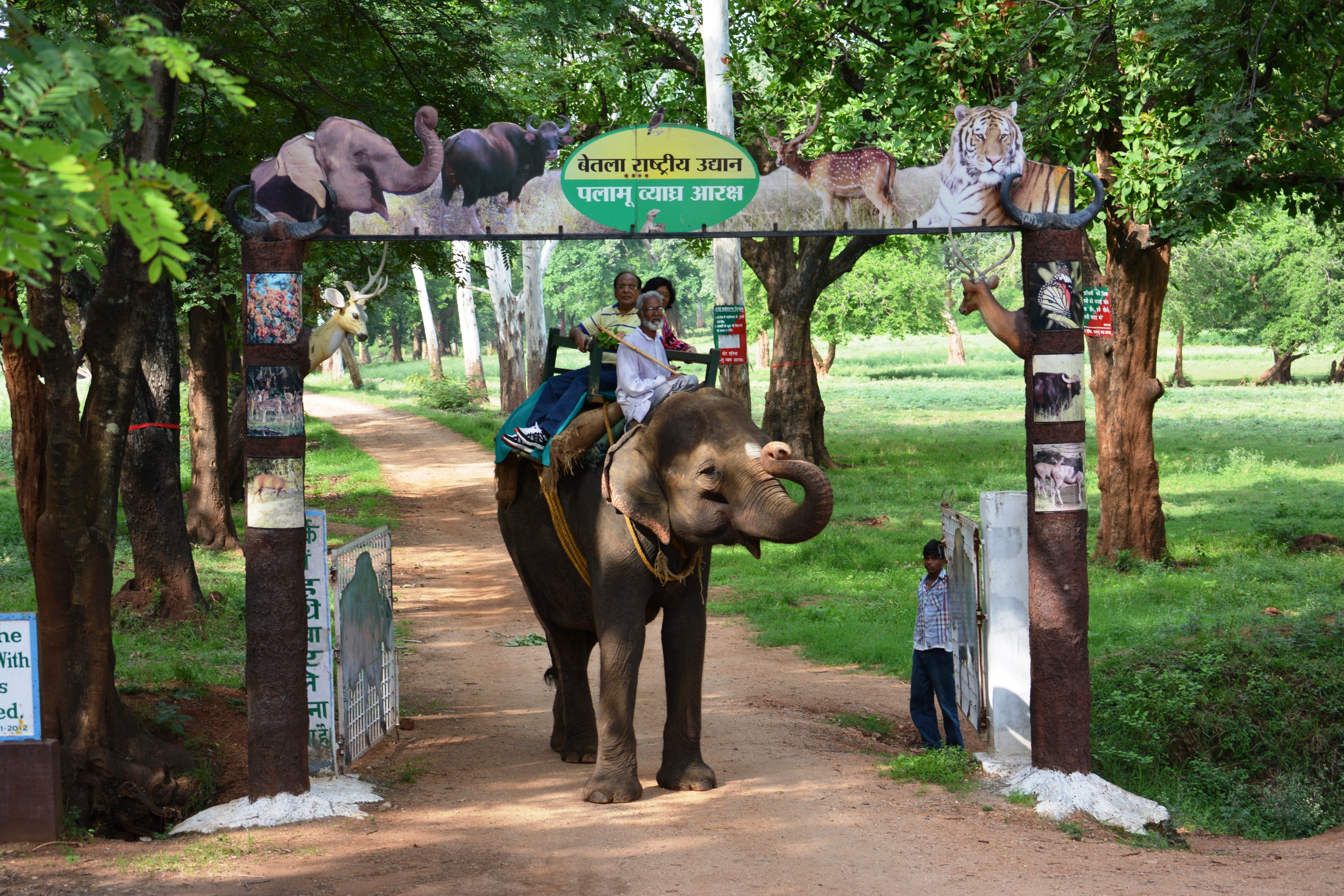 Jharkhand Tourism on X: "Betla National Park is a major national park in the state of Jharkhand located in Latehar, district. It is one among nine national parks ,selected by the Government