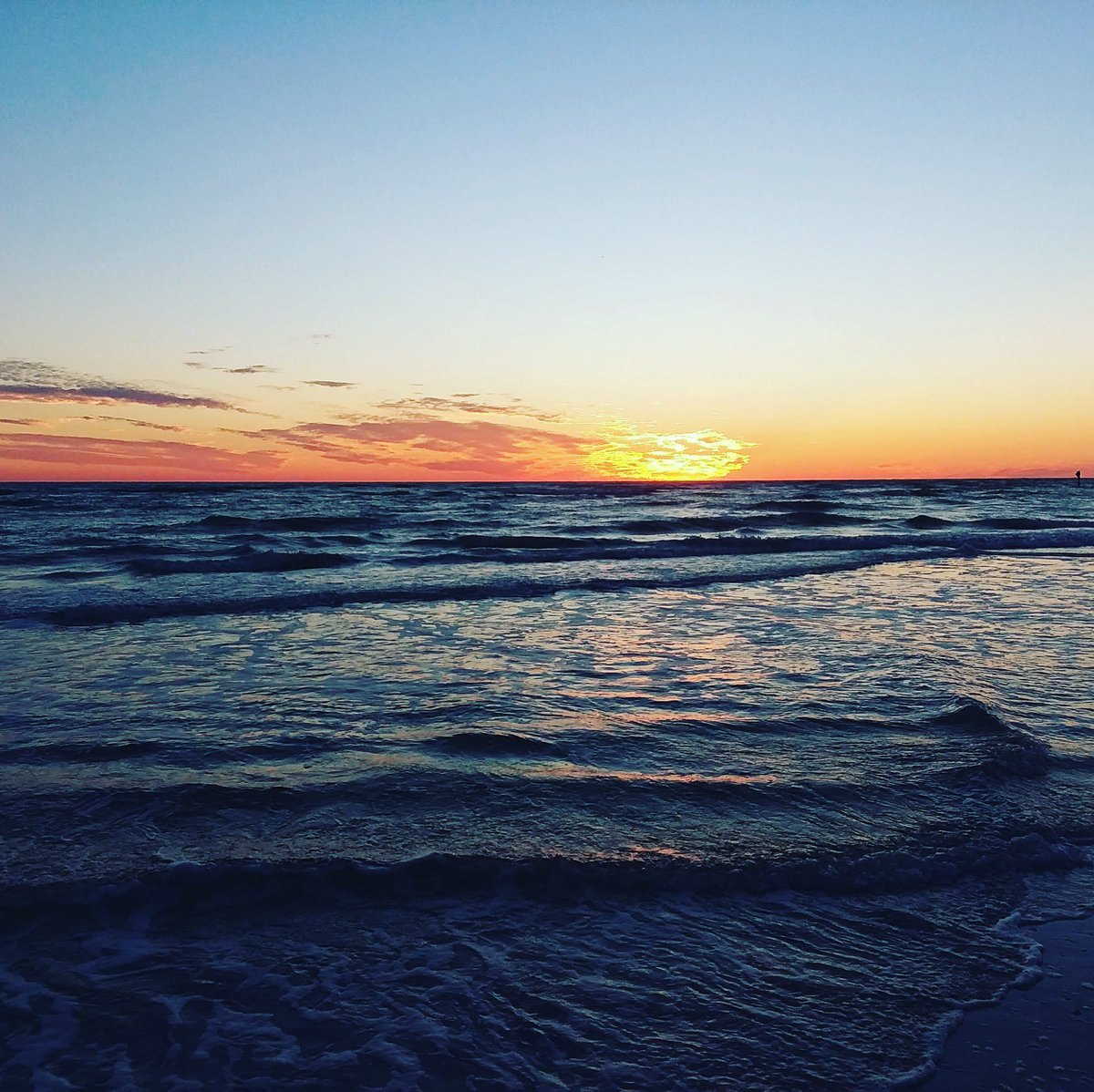 oceanlovetv's tweet photo. For all of us who can’t be on the water right now, don’t worry we’ll be back out there soon. Stay healthy, stay home.

#sunset #florida #chill #gulfcoast #clearwater #fishing #surf #surfing #scuba #scubadiving https://t.co/Lxy3XPc4El