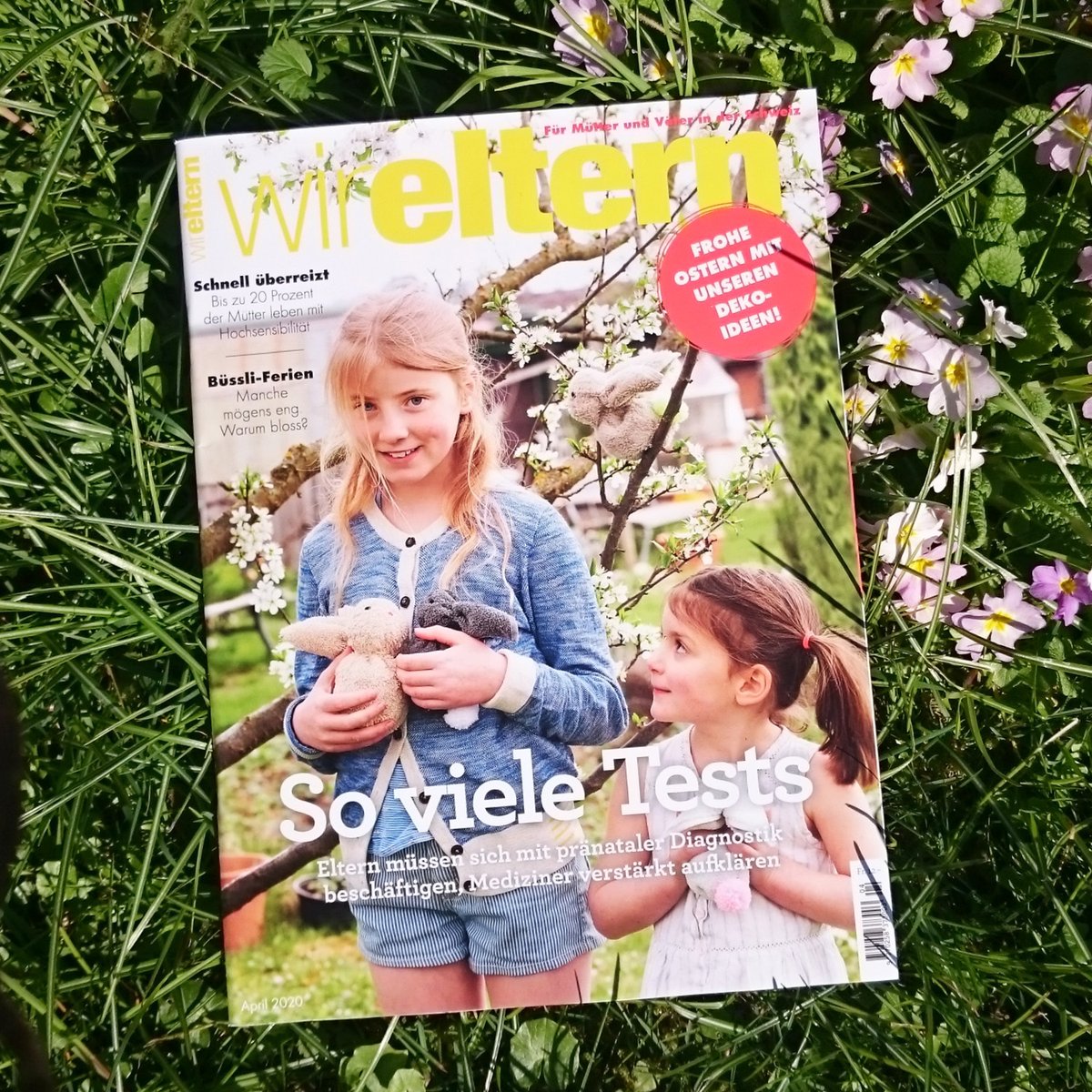 wireltern tweet media