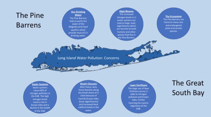valerie52108958's tweet photo. Want a closer look at this infographic and the LI water pollution crisis?
Go to our website https://t.co/zm2g0sfwQO for more information! #nifkin #element1 https://t.co/GT4Oicmzk5