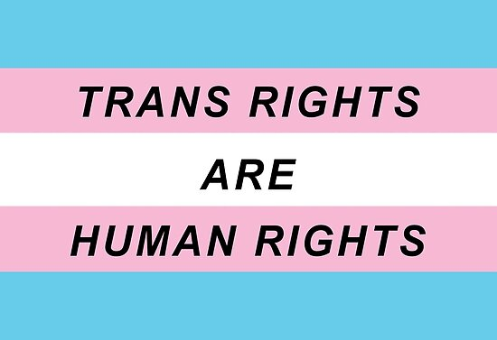 DavidWeeble's tweet photo. #TDOV #TransDayOfVisibility https://t.co/NTxqRvTRmA
