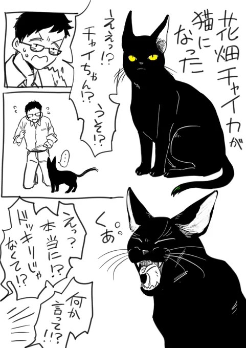 猫になった花畑チャイカと面倒を見る社築 