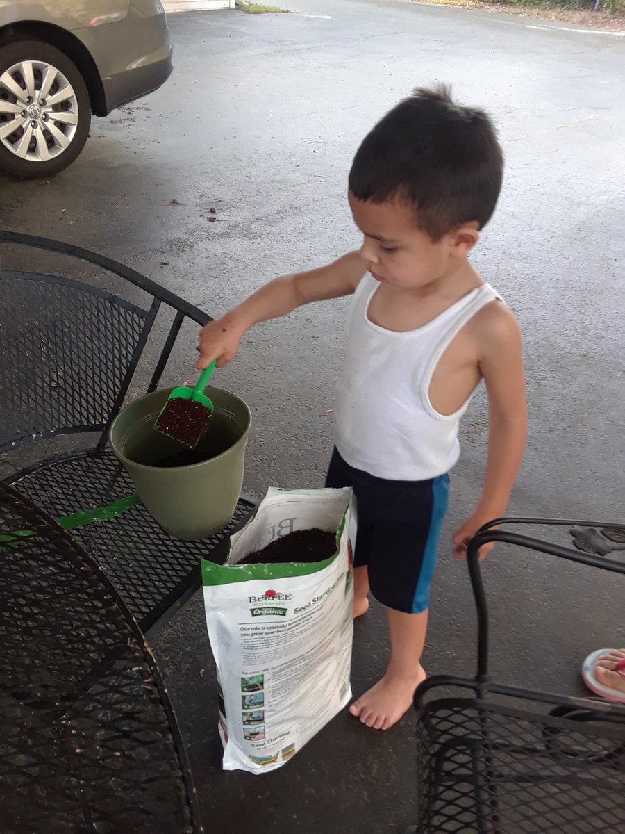 Flo1Schools's tweet photo. Our 3K students are taking advantage of their time at home to explore nature. One student planted cilantro, rosemary and some flower seeds with his family. We can't wait to see the plants once they've grown! #WeAreStillLearning #Florence1Strong https://t.co/Xpnb8gLQ6t
