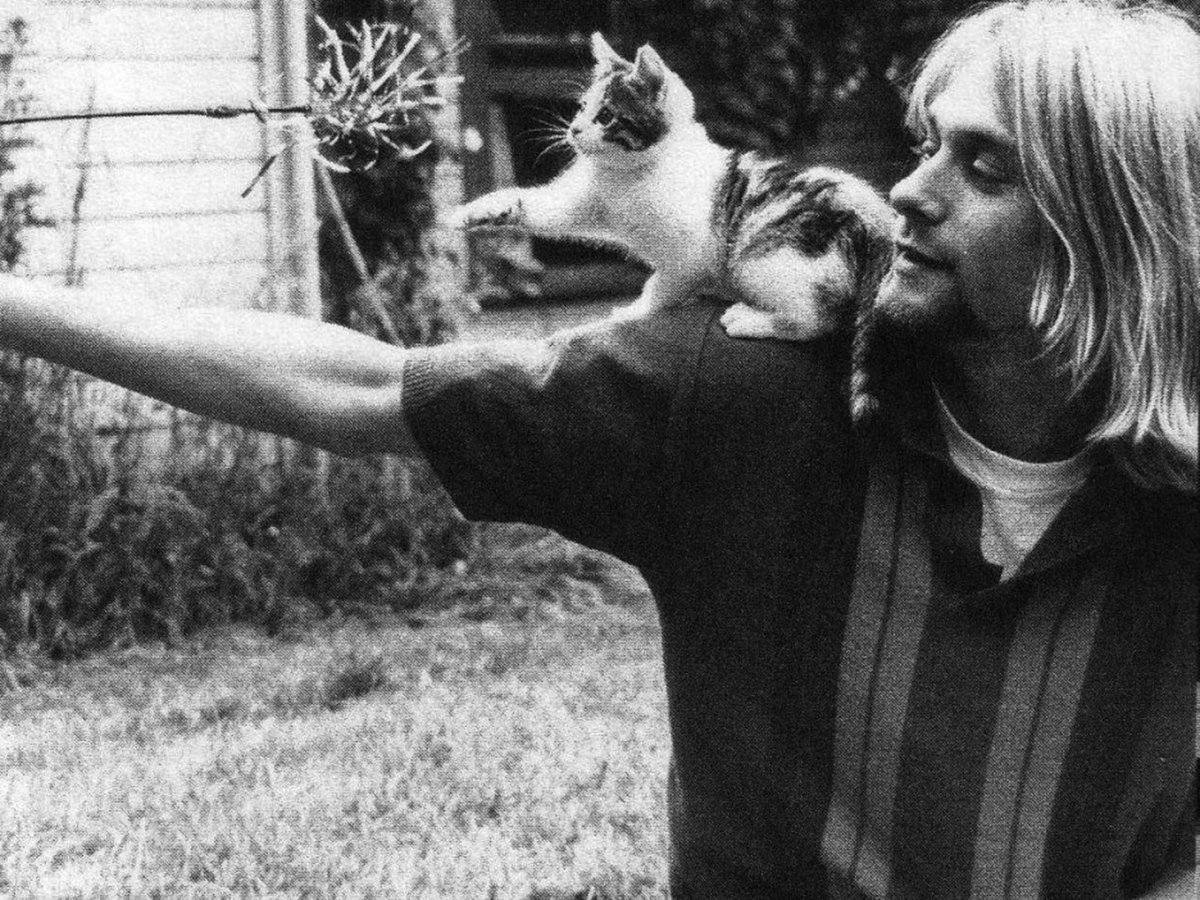 AgaAgnes1991's tweet photo. Kurt Cobain playing with a kitten. https://t.co/uKXWVqxKYG