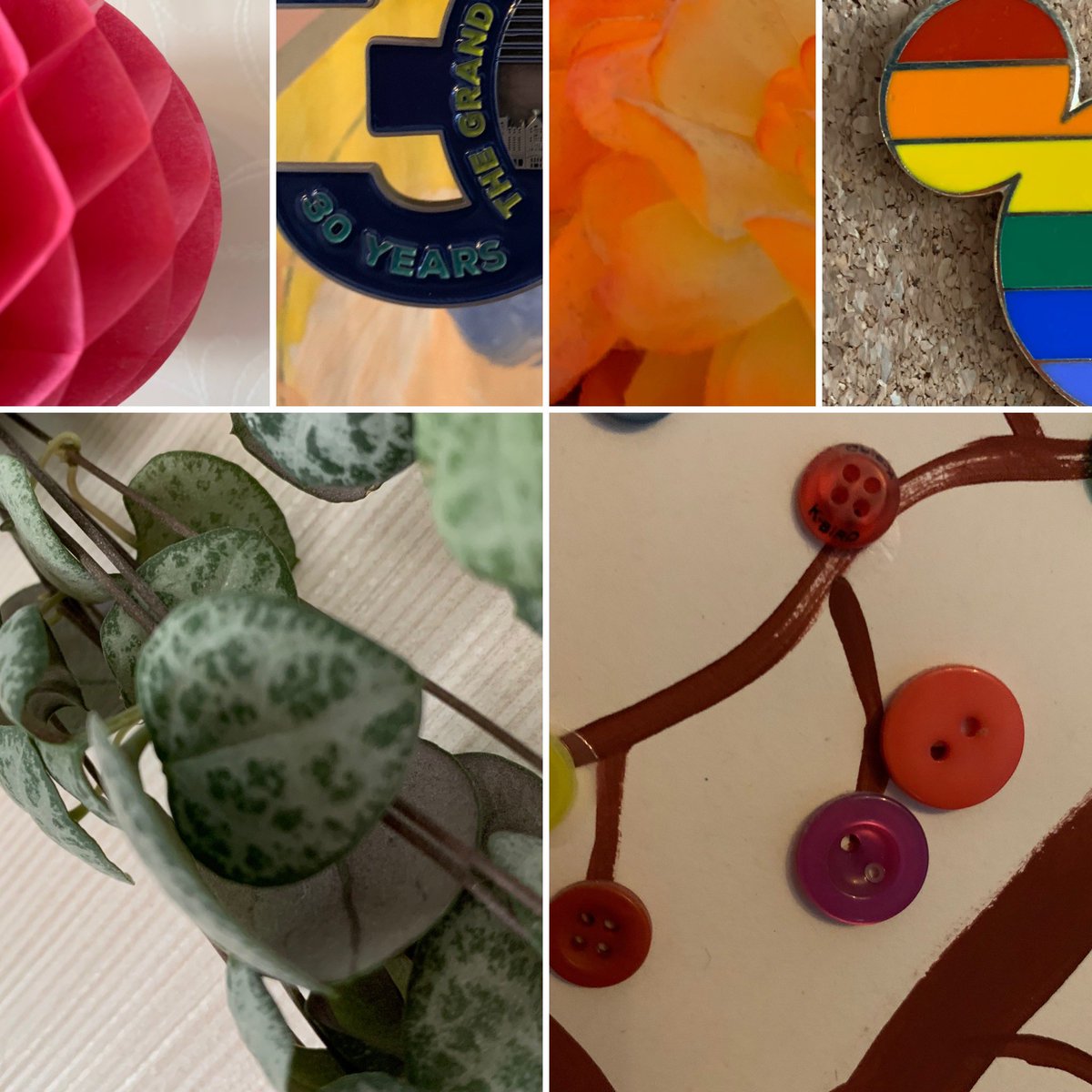 suttonhighgeog's tweet photo. @SuttonHighDH here is a collage of some aspects of my #hiddenhome that are keeping me happy (and sane!) during #socialdistancing https://t.co/pWDrEK3o7w