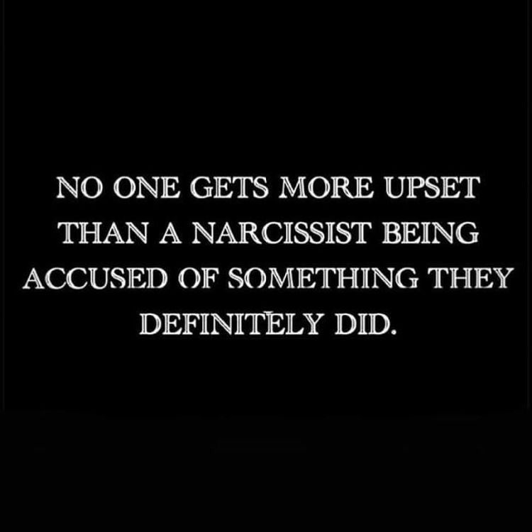 wickedNHmama's tweet photo. Well that sums up @realDonaldTrump perfectly! https://t.co/XowoIRcrux