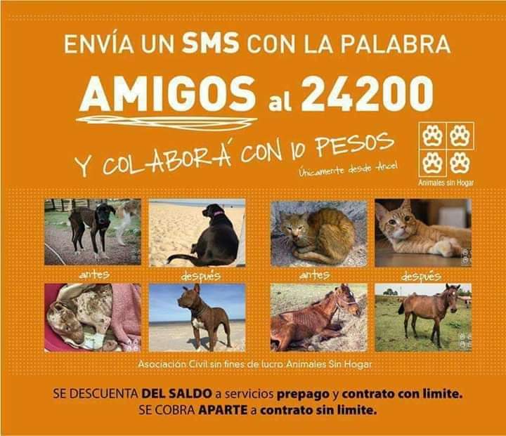ASHcomUY's tweet photo. Buen día!!!! 😀
Es HOY!!! 😁😁

Último día del mes!!!

SMS al 24200 con la palabra AMIGOS y donas 10 pesos con cada mensaje!!! 😉😉

Gracias ❤️❤️❤ https://t.co/IpUyZecLsx