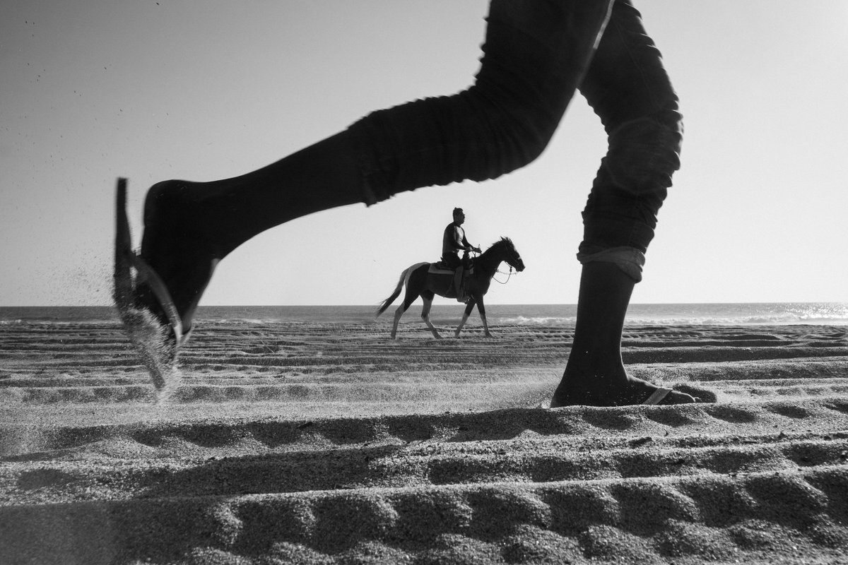 Equestrio tweet media