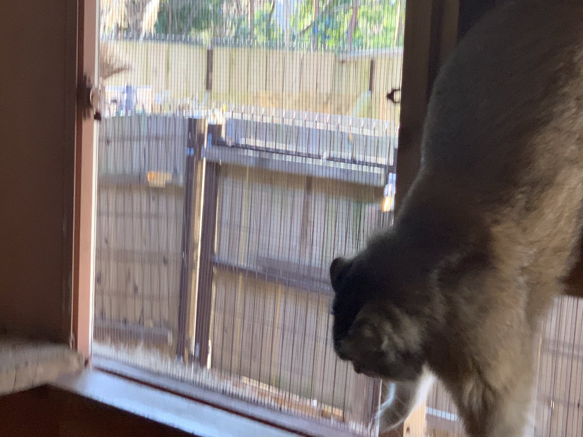 リラード がんばれみんなのscz 埼玉県こども動物自然公園 再開できるよう楽しみに待ってます