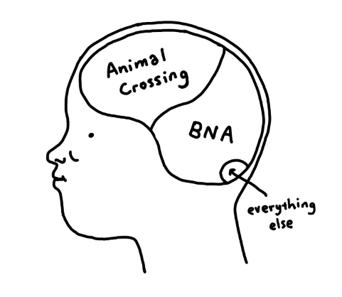 "what's on your mind" 