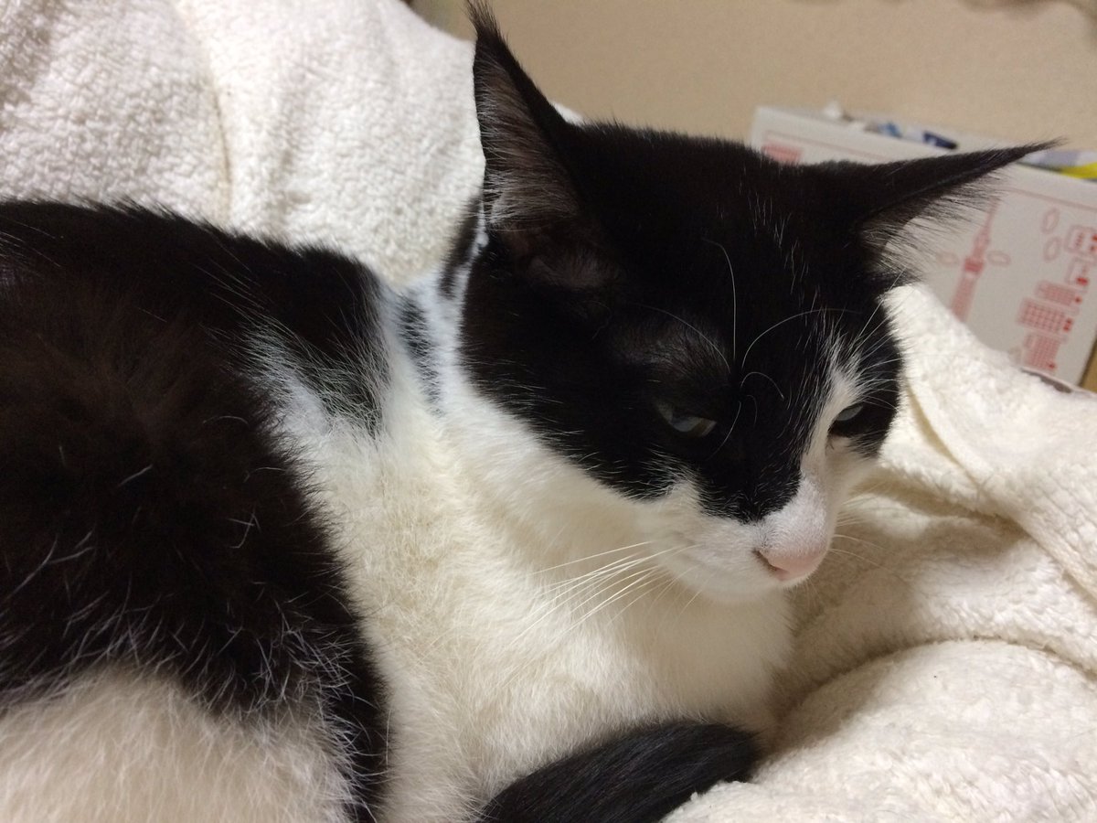 うちのWalter  >RT 