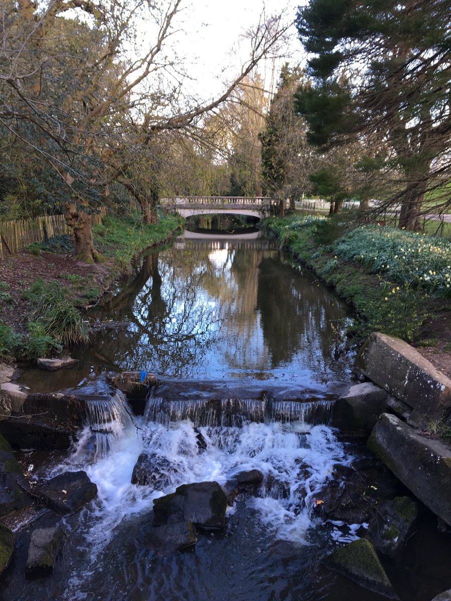 illustrator_eye's tweet photo. Early morning, #roath lake and a pocket full of wild garlic. Small pleasures during #lockdown #SocialDistancing #onerunaday https://t.co/00XYAYEUn3