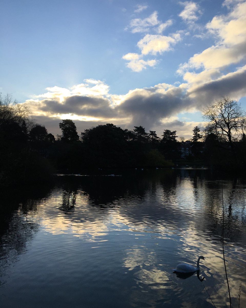 illustrator_eye's tweet photo. Early morning, #roath lake and a pocket full of wild garlic. Small pleasures during #lockdown #SocialDistancing #onerunaday https://t.co/00XYAYEUn3