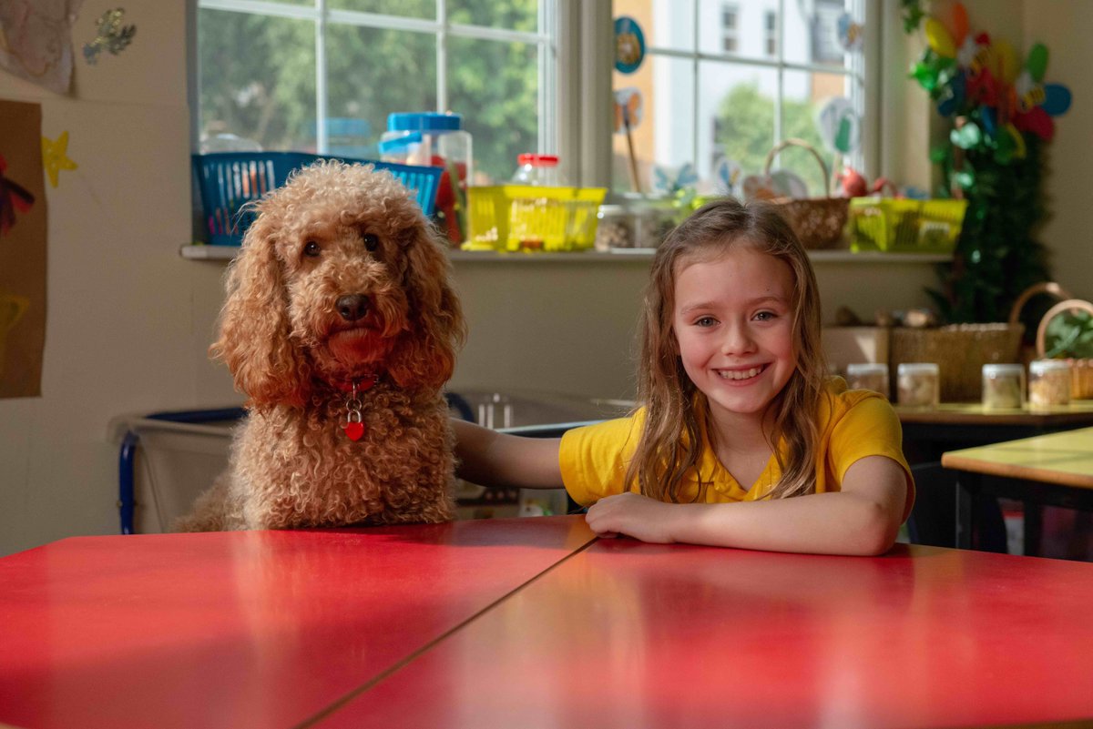 Who Is Evie's Dad In Waffle - estrelaspessoais
