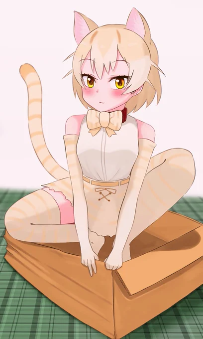 イエネコ 